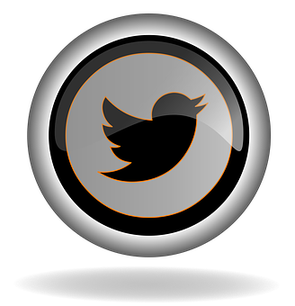 Twitter Logo Silver Glossy