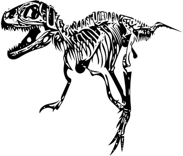 A Skeleton Of A Dinosaur