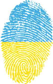 A Fingerprint With A Blue And Yellow Color