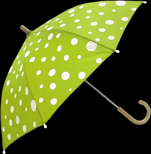 A Green Umbrella With White Dots