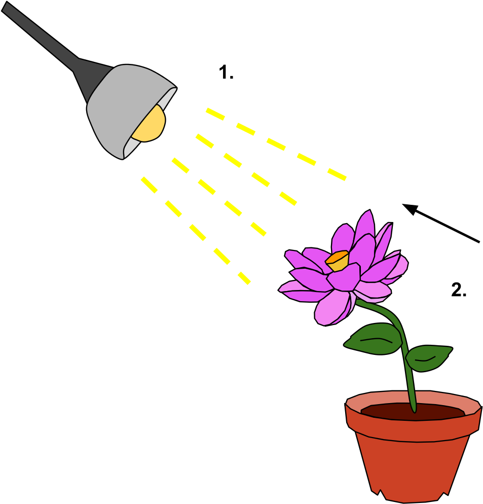 A Cartoon Of A Flower In A Pot