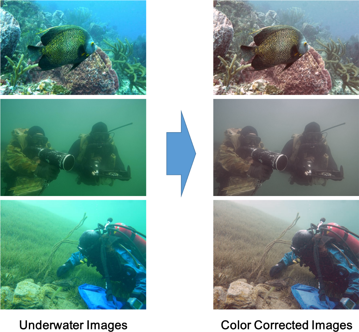Underwater Png 1155 X 1067