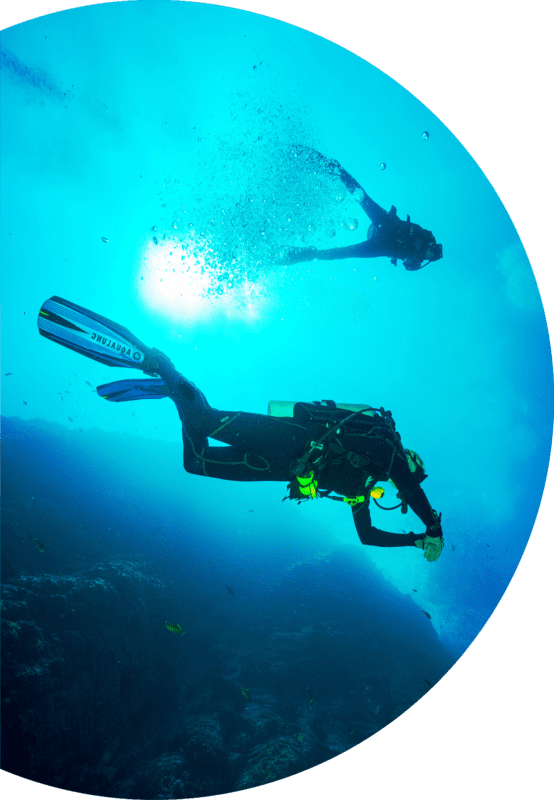 Underwater Png 554 X 800