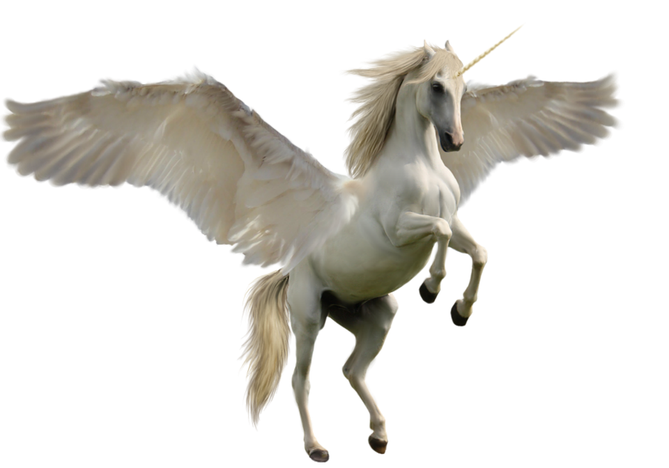 A White Horse With Wings And A Horn