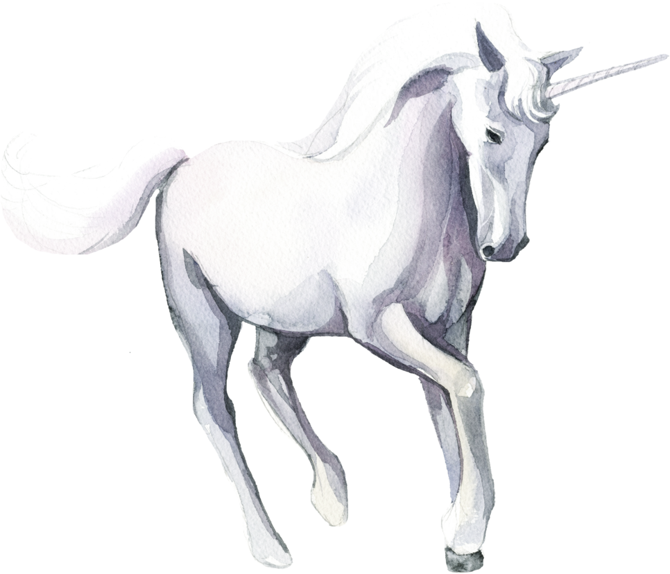 A Watercolor Of A Unicorn