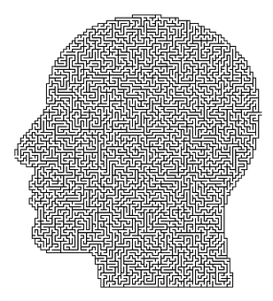 A Maze In A Human Head