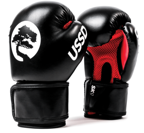 A Pair Of Boxing Gloves