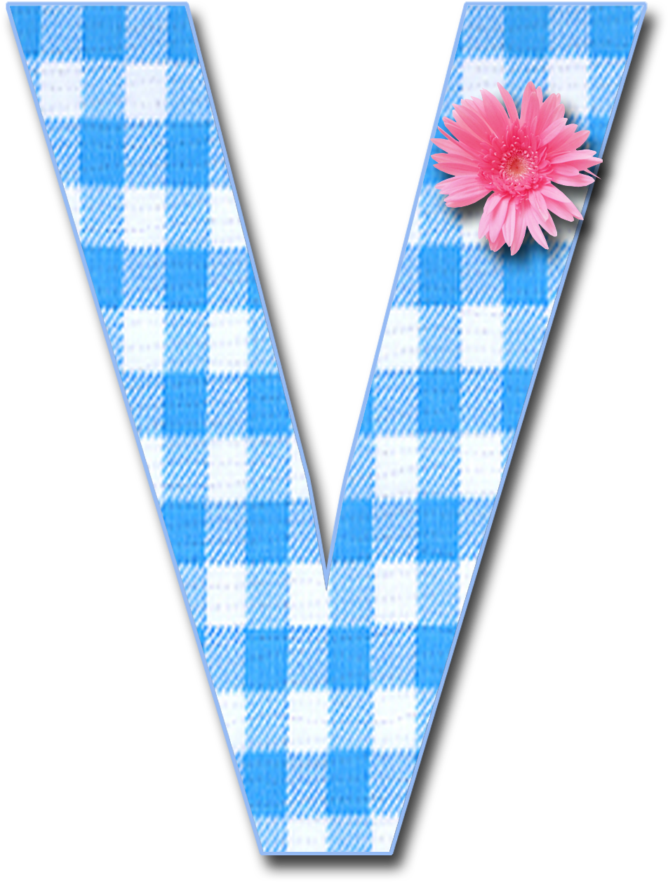 A Blue And White Checkered Letter V With A Pink Flower