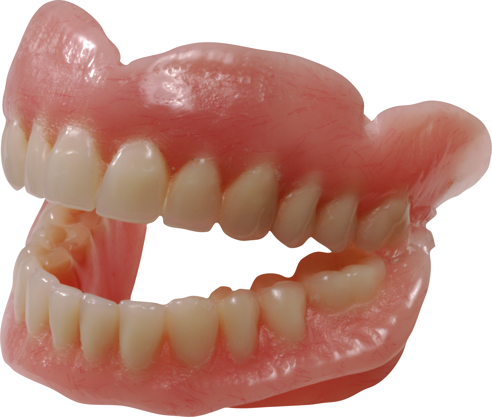 A Close Up Of A Fake Teeth