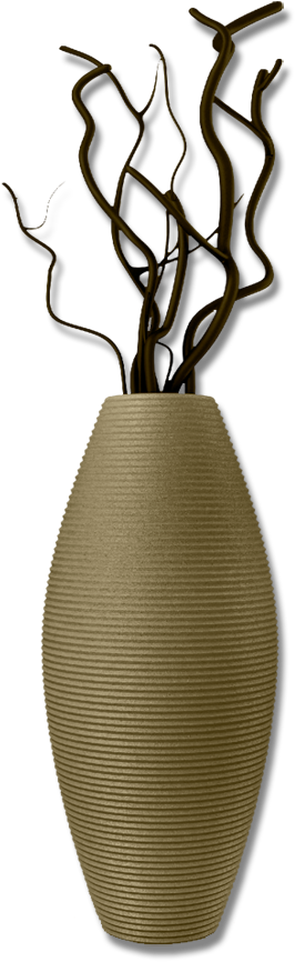 Vase Png 266 X 866