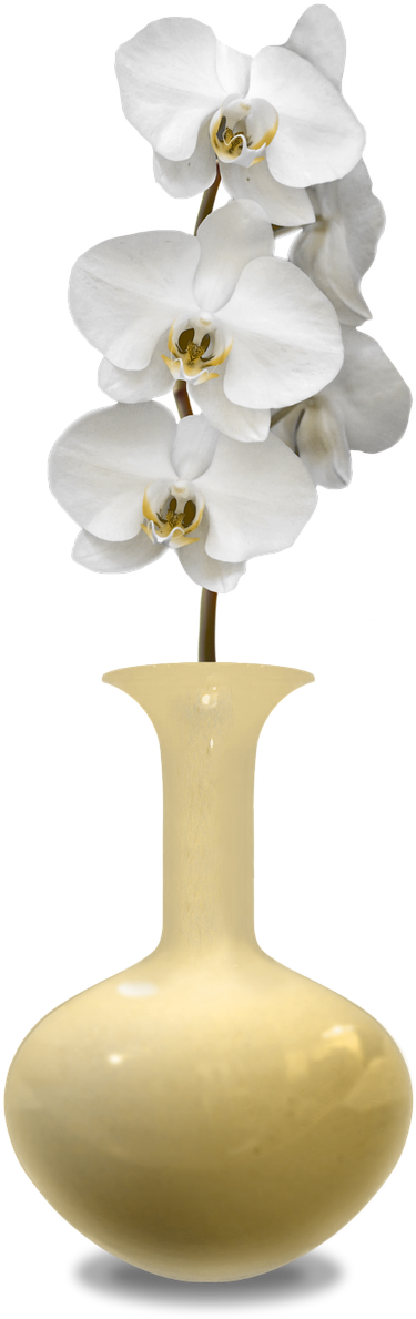 Vase Png 375 X 1189