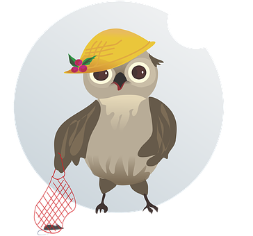 A Cartoon Of An Owl Holding A Net