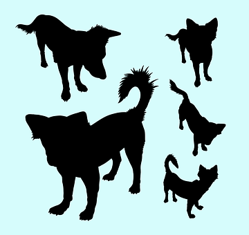 A Silhouettes Of Dogs