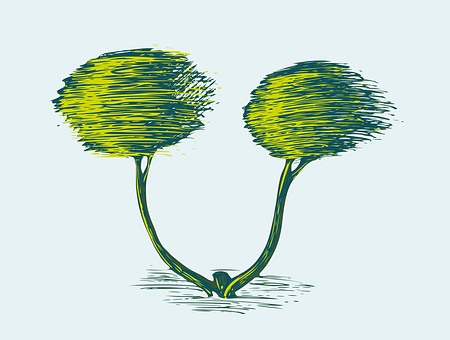 A Drawing Of A Tree
