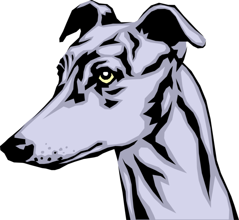 A Grey Dog With Yellow Eyes