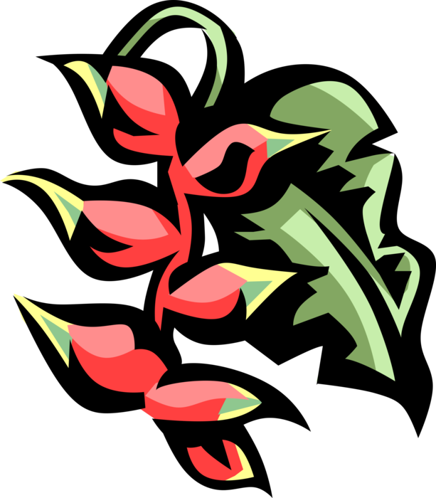 A Red And Green Plant