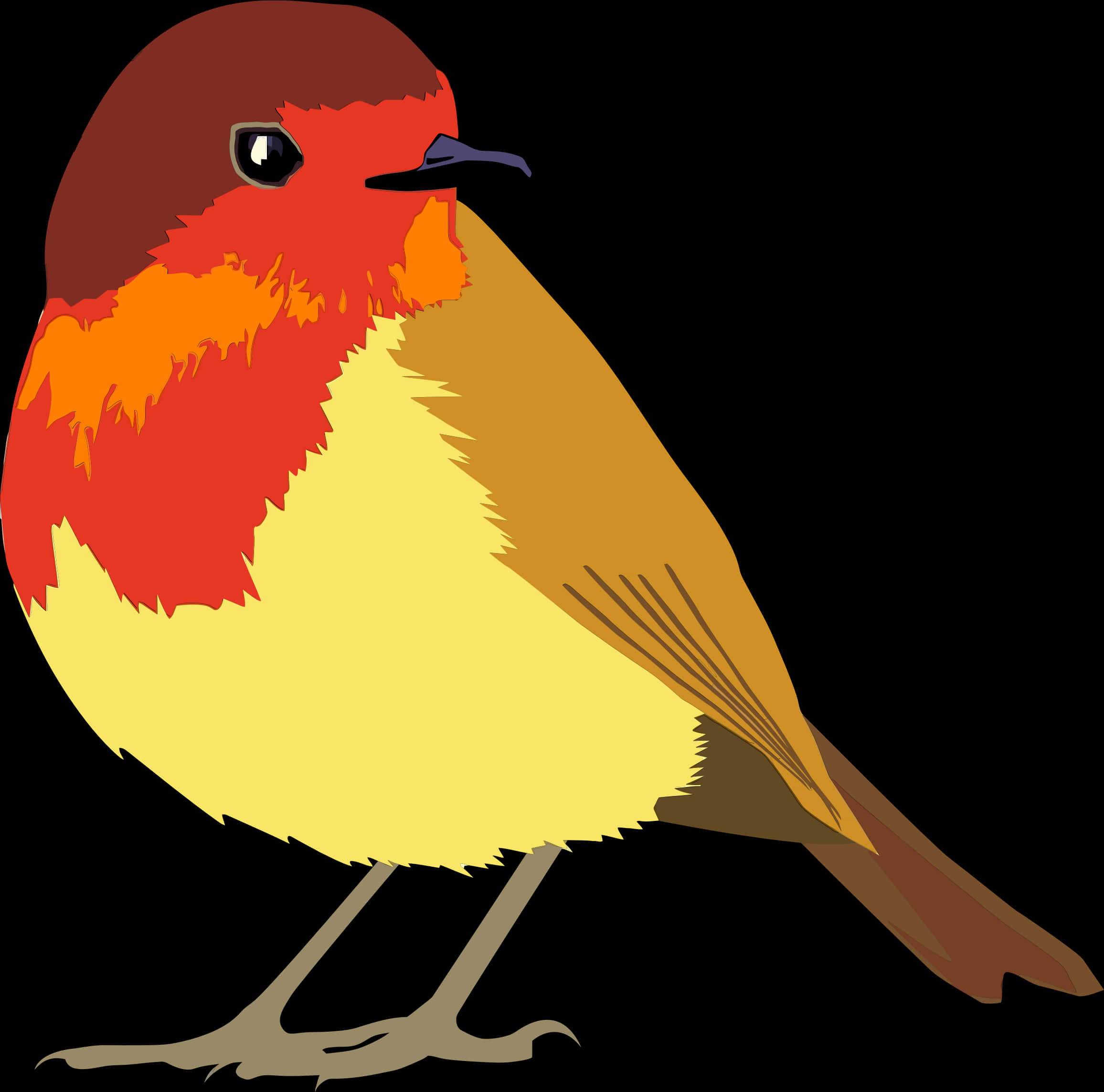 Vector Transparent Download Clipart Robin Bird - Robin Bird Clipart Png, Png Download