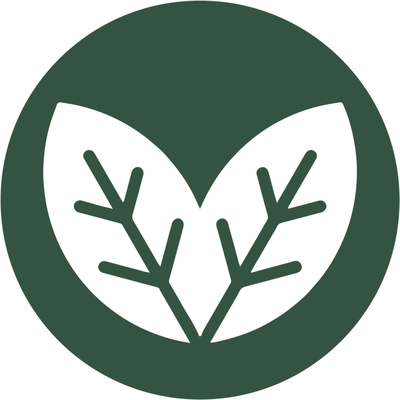 A Green Circle With White Leaves