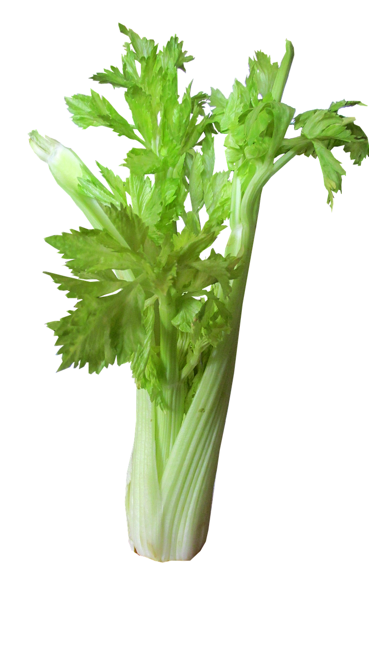 A Celery Stalk With Leaves