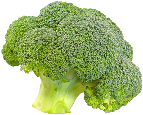 A Broccoli Head On A Black Background