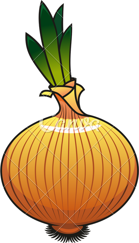 A Cartoon Of A Onion