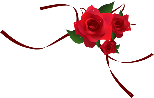 A Red Roses With A Ribbon