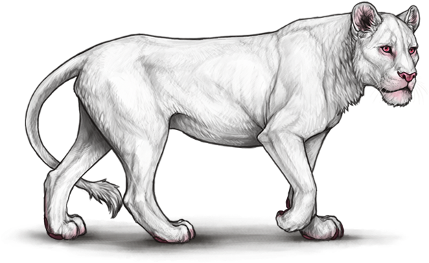 A White Lion With A Black Background