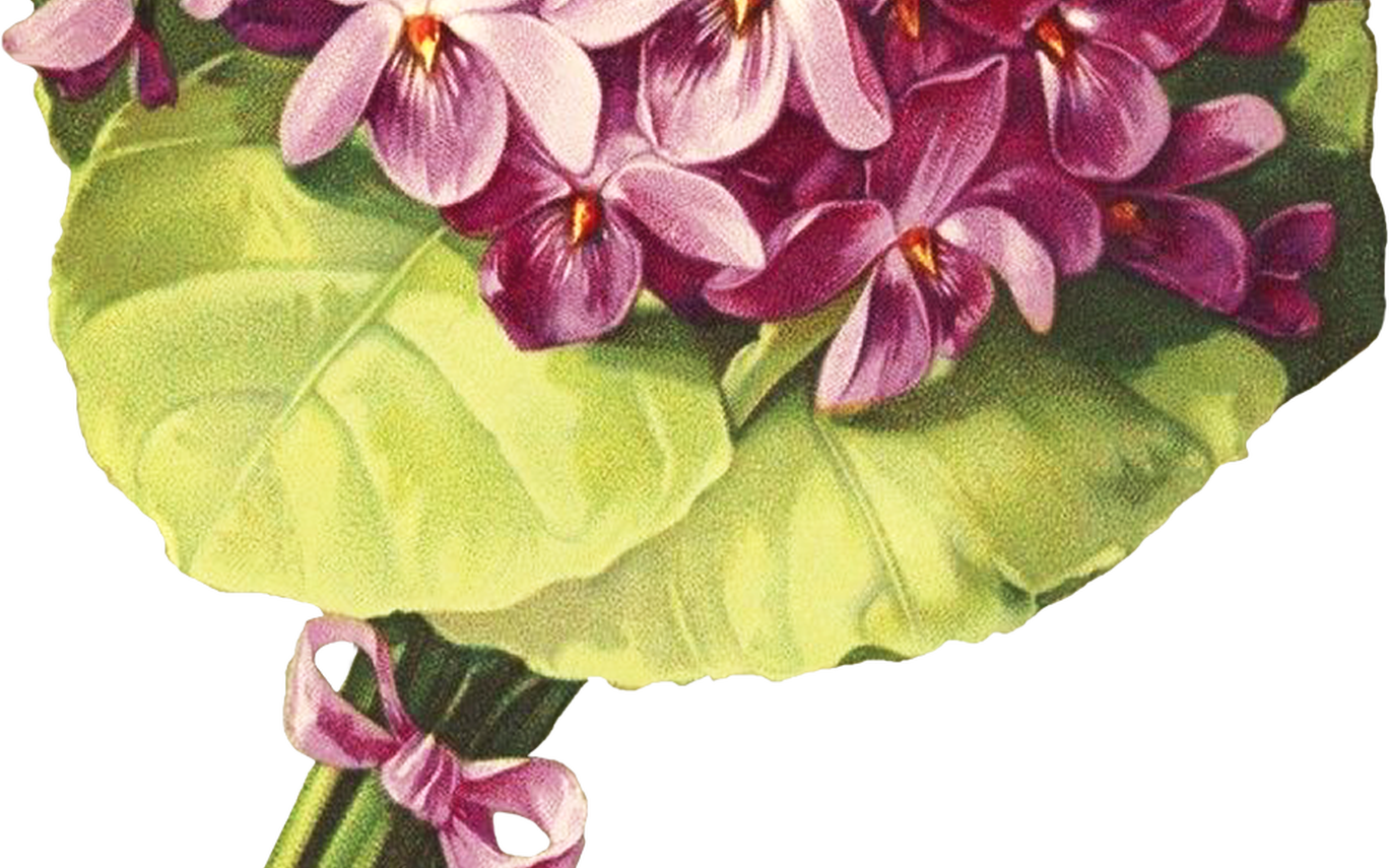 A Close Up Of A Bouquet Of Purple Flowers