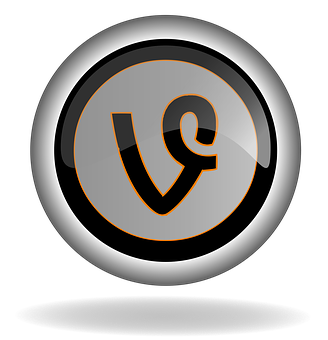 A Black And White Circle With A Letter V In It
