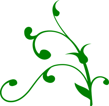 A Green Plant With Leaves On A Black Background