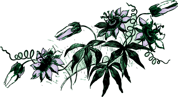 A Drawing Of Flowers And Leaves