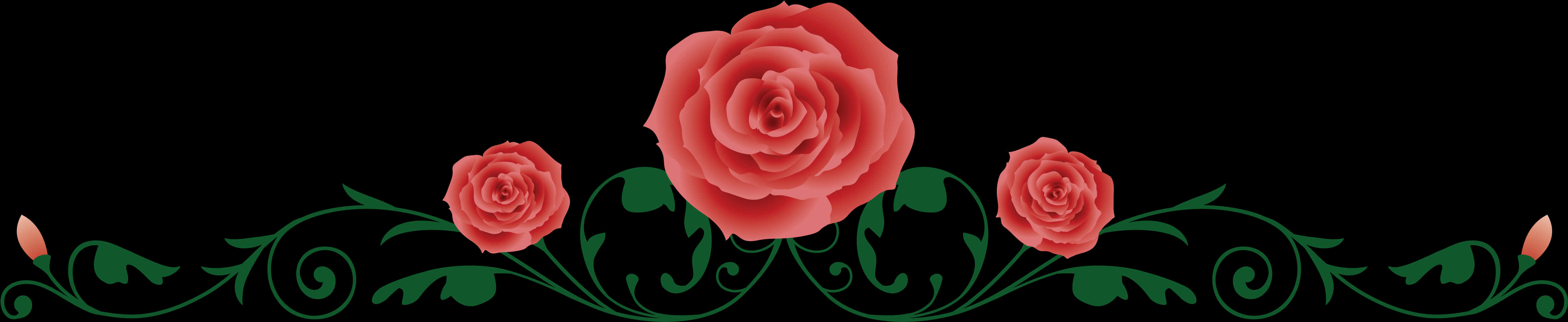 A Close-up Of A Rose
