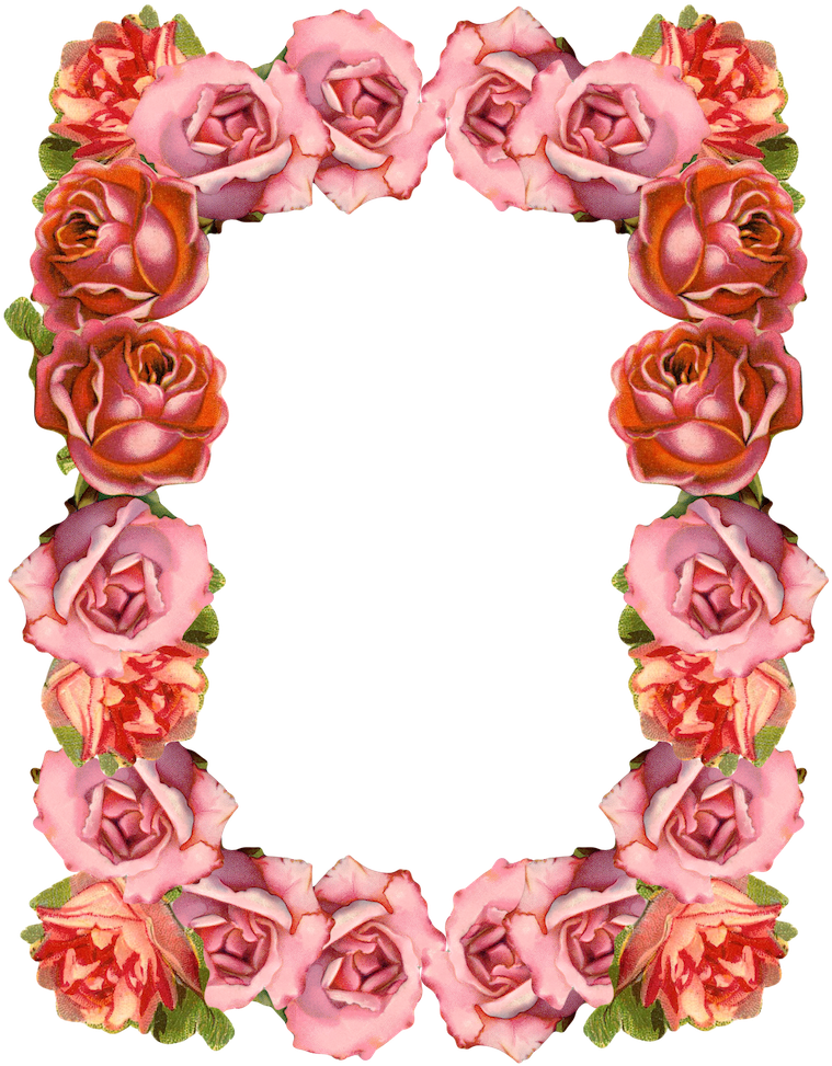 A Rectangular Frame Of Pink Roses