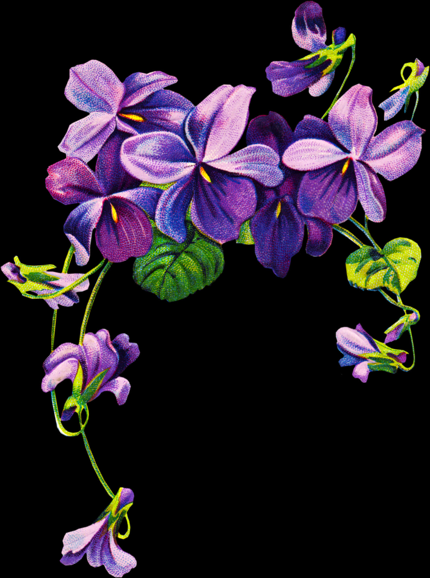 Violet-family - Transparent Purple Flowers Border Png, Png Download