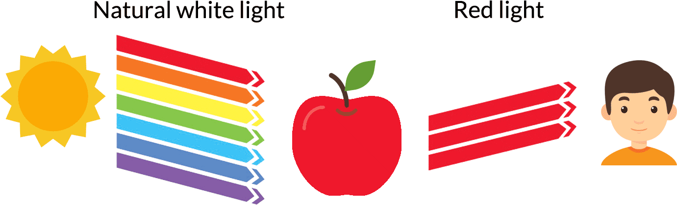 A Red Apple With A Green Leaf And A Rainbow Colored Arrow