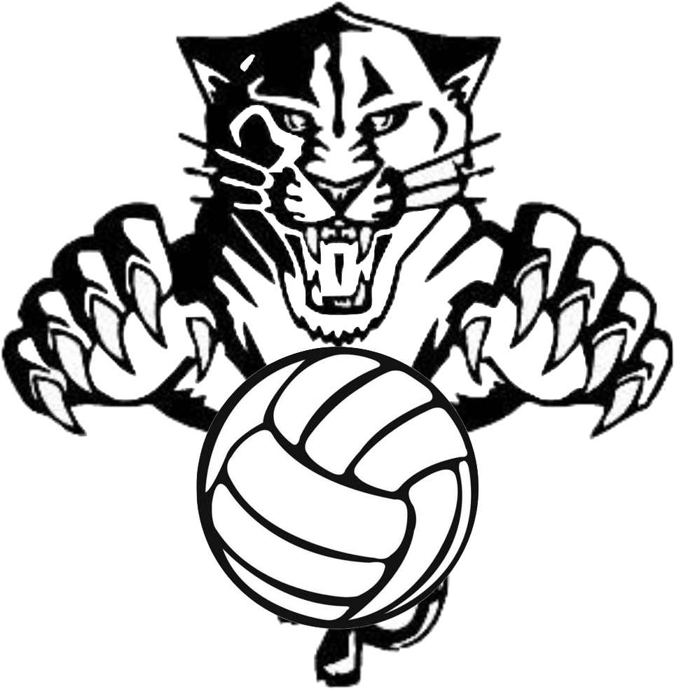 Volleyball Clipart Png 962 X 984