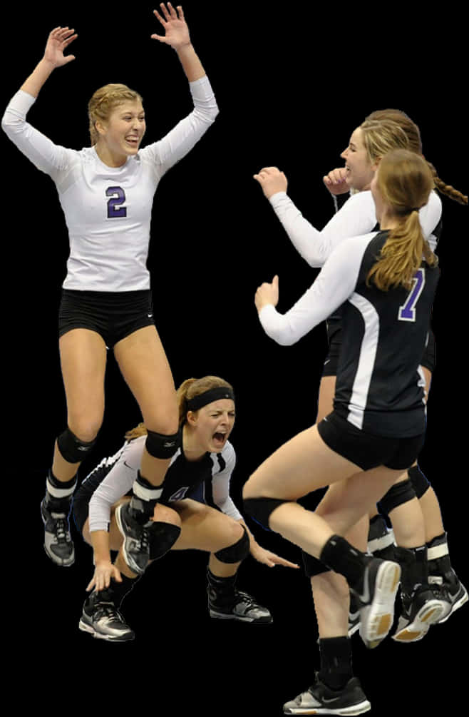 Volleyball Png