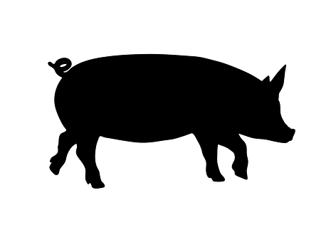 A Silhouette Of A Pig