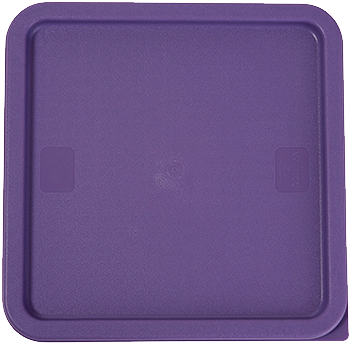 A Purple Square Plastic Tray