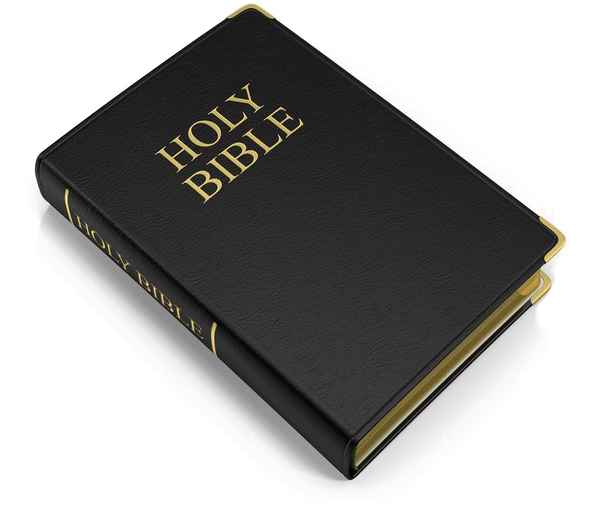 A Black And Gold Bible