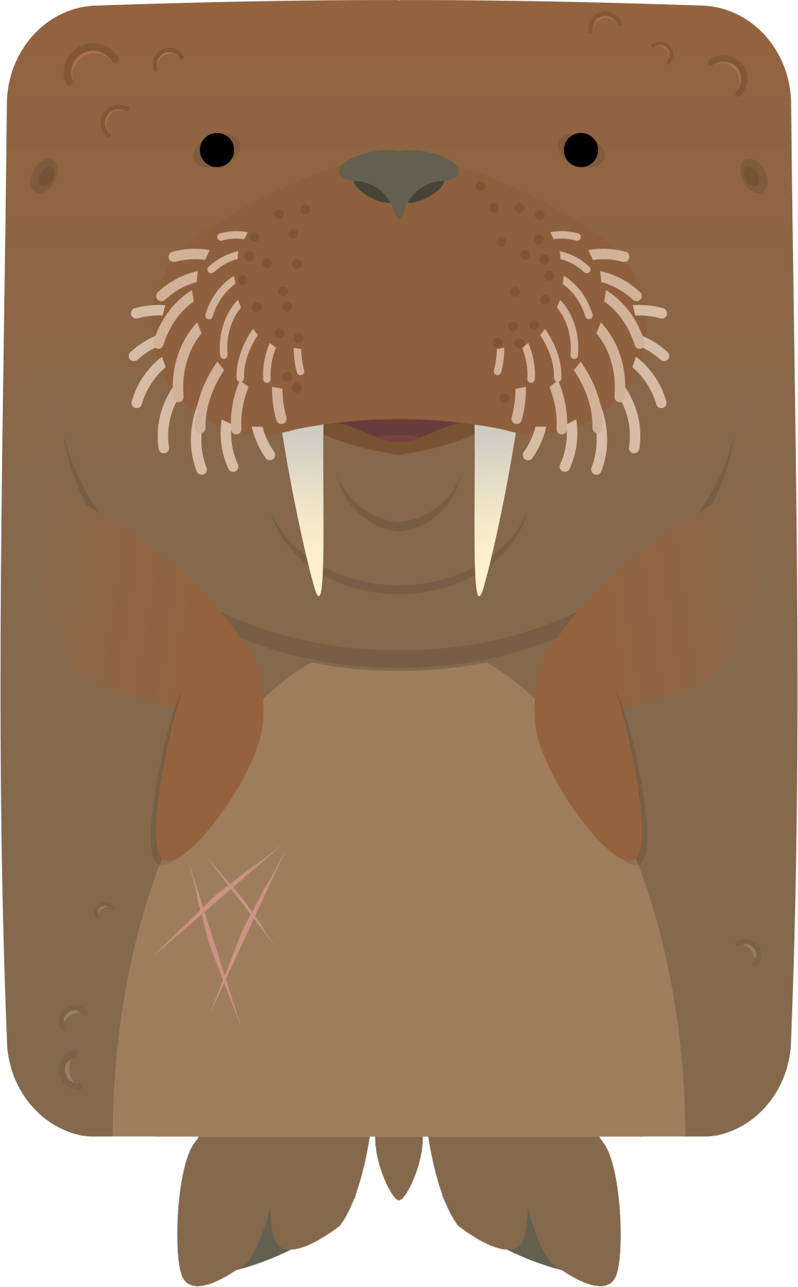 A Walrus With White Teeth