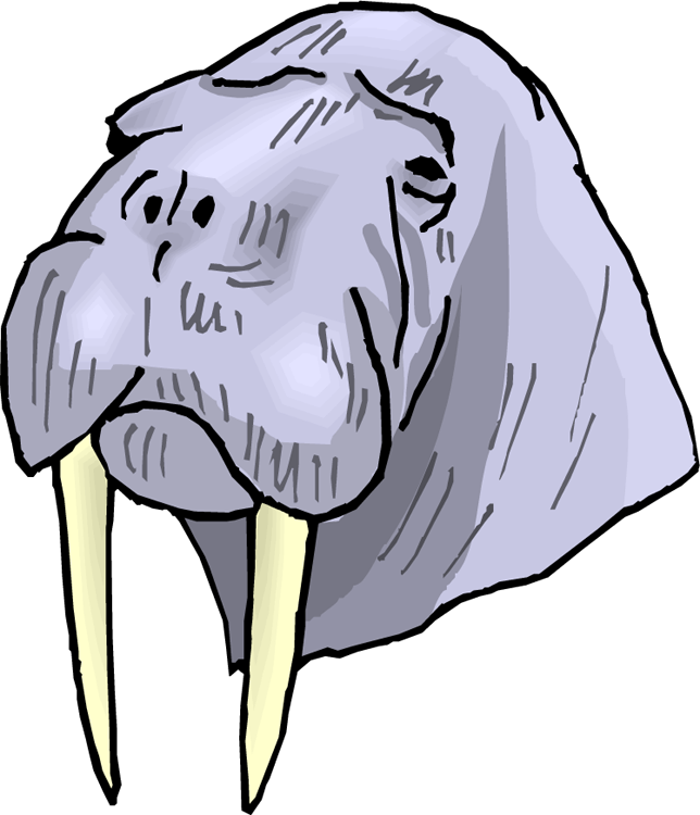A Cartoon Of A Walrus