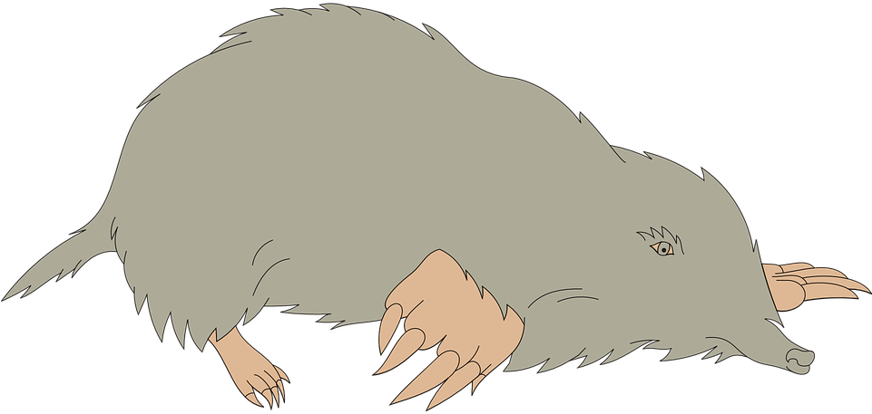 A Cartoon Of A Mole