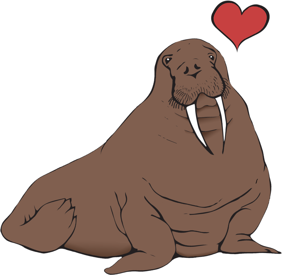 A Walrus With A Heart