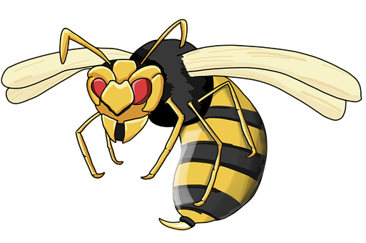 Wasp Png 513 X 340