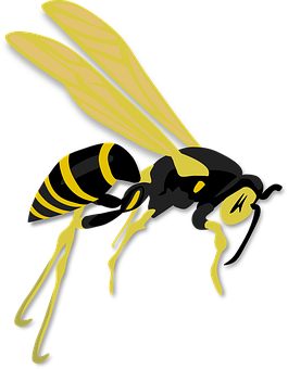 Wasp Png 265 X 340