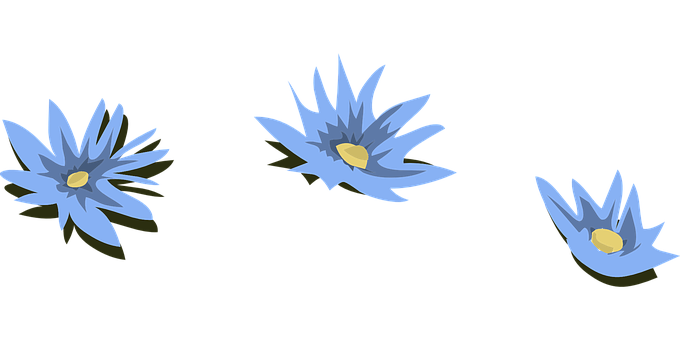 A Blue Flower With Yellow Center
