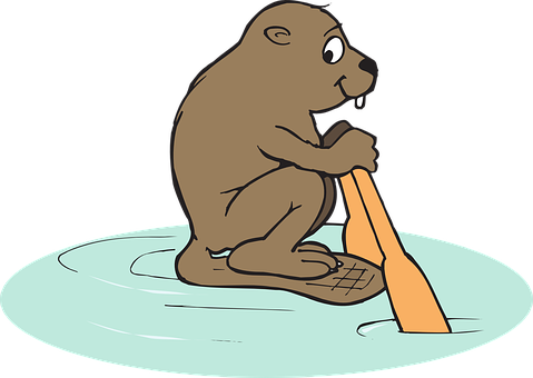 A Cartoon Of A Beaver On A Paddle