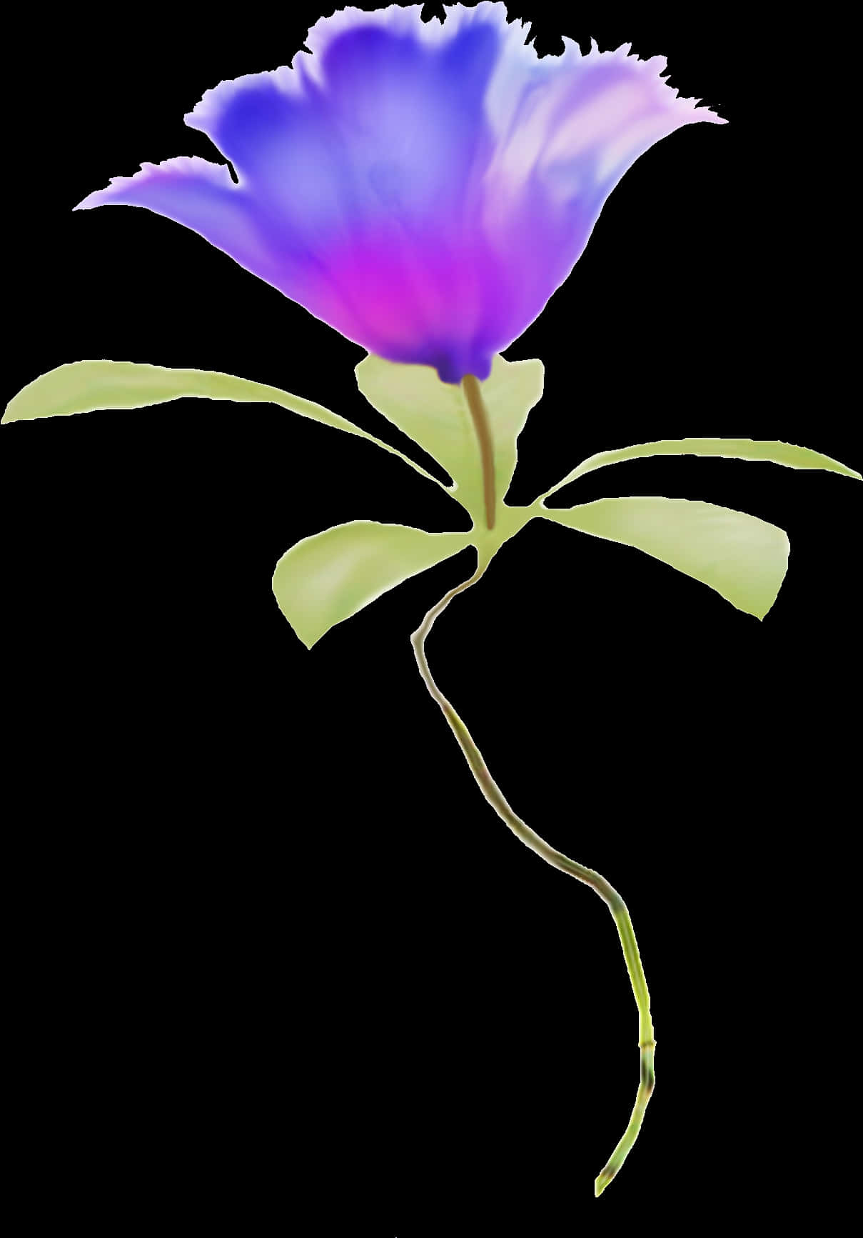Watercolor Flower Purple Blue Flowers
