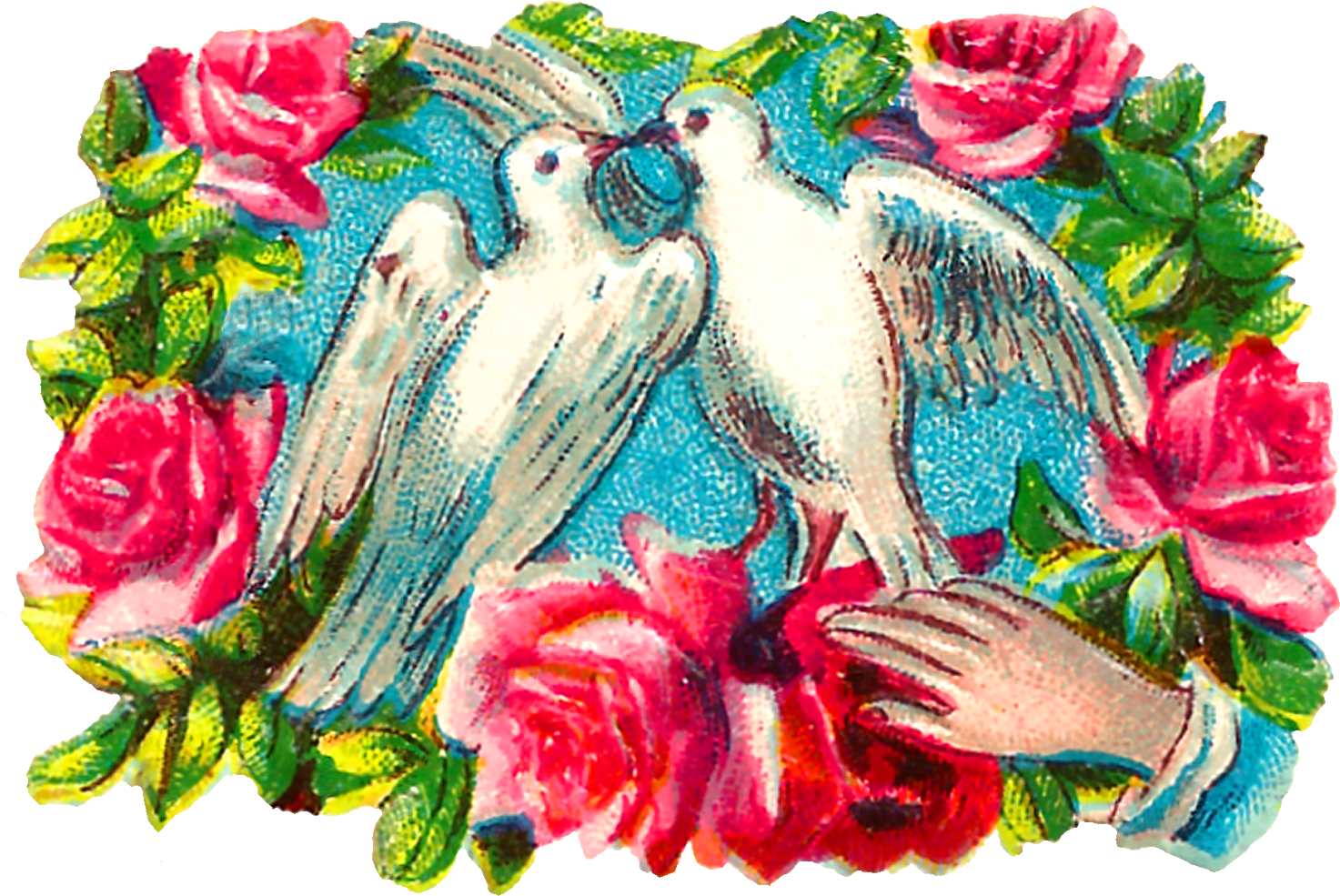 A Pair Of White Birds With Pink Roses
